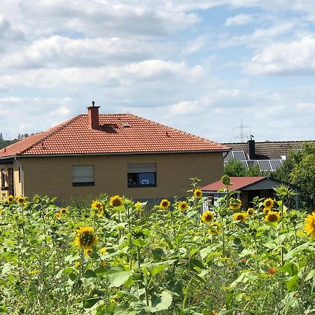 Ferienwohnung Carpe Diem Scheuerfeld Eksteriør billede